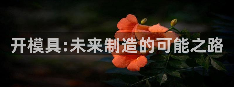 电子游戏太阳神官方网站：开模具:未来制造的可能之路