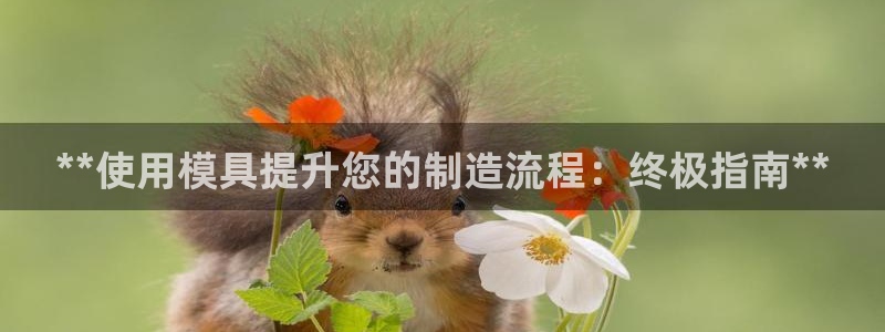 古天乐只有太阳能黑：**使用模具提升您的制造流程：终极指南**