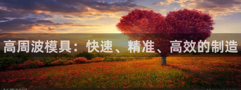 太阳集团董事长：高周波模具：快速、精准、高效的制造