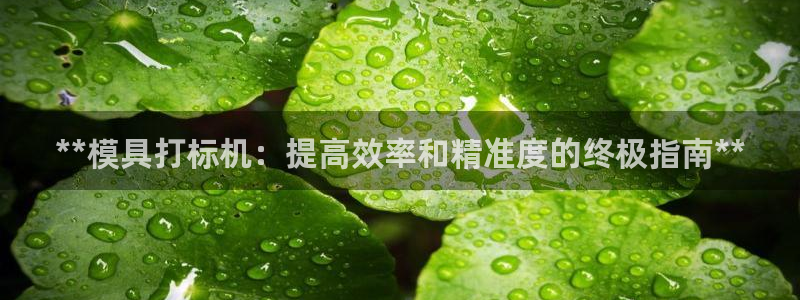 15vip太阳成集团：**模具打标机：提高效率和精准度的终极指南**