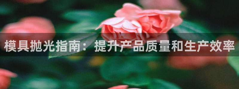 太阳集团城官方app下载：模具抛光指南：提升产品质量和生产效率