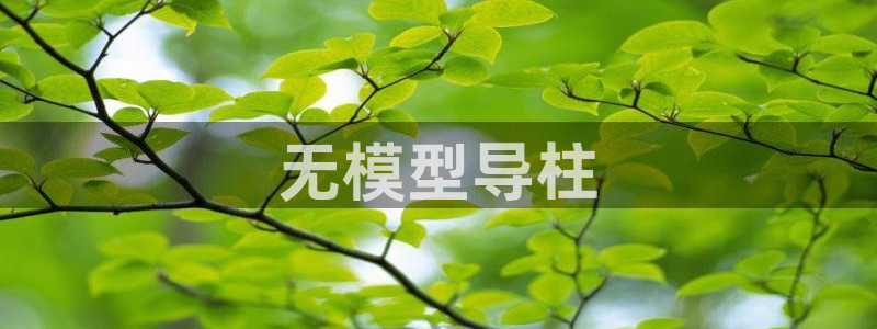太阳集团贵宾网站：无模型导柱