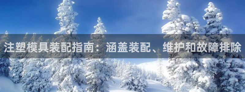太阳gg注册地址：注塑模具装配指南：涵盖装配、维护和故障排除
