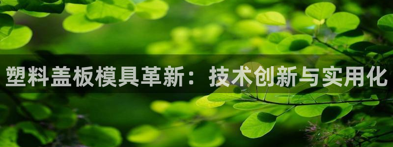 太阳集团古天乐：塑料盖板模具革新：技术创新与实用化