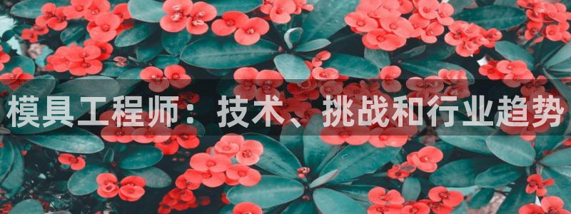 太阳集团app十佳平台怎么样：模具工程师：技术、挑战和行业趋势