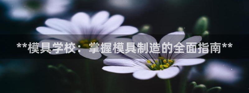 太阳集团游戏官方网址老字号：**模具学校：掌握模具制造的全面指南**
