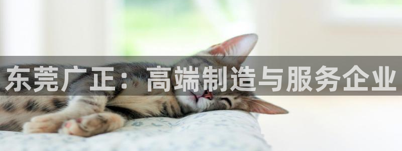 太阳gg是真的吗：东莞广正：高端制造与服务企业