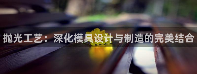 太阳诚集团网站：抛光工艺：深化模具设计与制造的完美结合