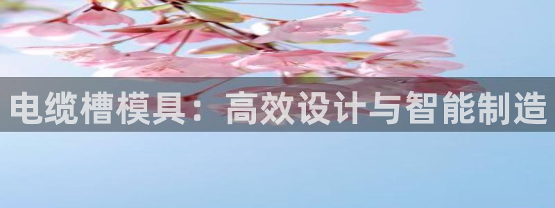 太阳2注册官网下载：电缆槽模具：高效设计与智能制造