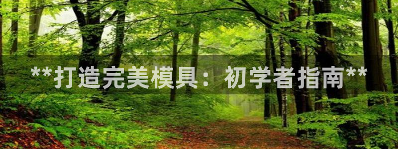 太阳成集团视频：**打造完美模具：初学者指南**