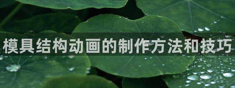 太阳集团首页：模具结构动画的制作方法和技巧