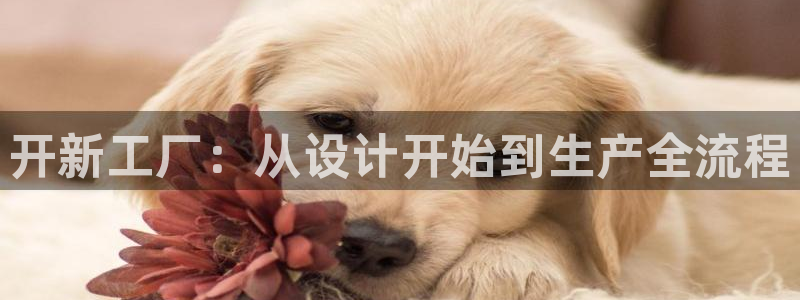 太阳集团电子游戏返还8元：开新工厂：从设计开始到生产全流程