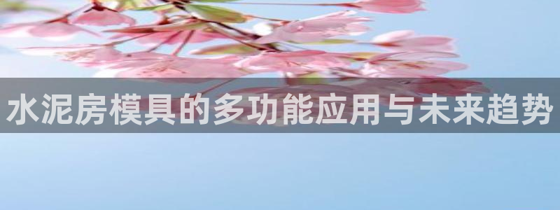 太阳成集团tyc1050：水泥房模具的多功能应用与未来趋势