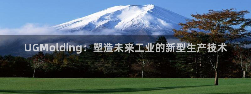 太阳神电子游戏平台：UGMolding：塑造未来工业的新型生产技术