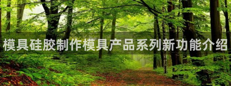 太阳gg会员登录：模具硅胶制作模具产品系列新功能介绍