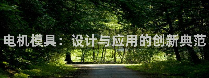 太阳成集团tyc234cc[主页]振：电机模具：设计与应用的创新典范