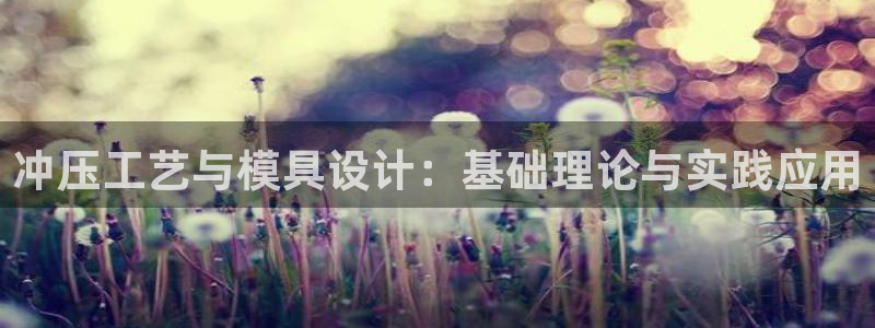 太阳集团官网导航首页：冲压工艺与模具设计：基础理论与实践应用