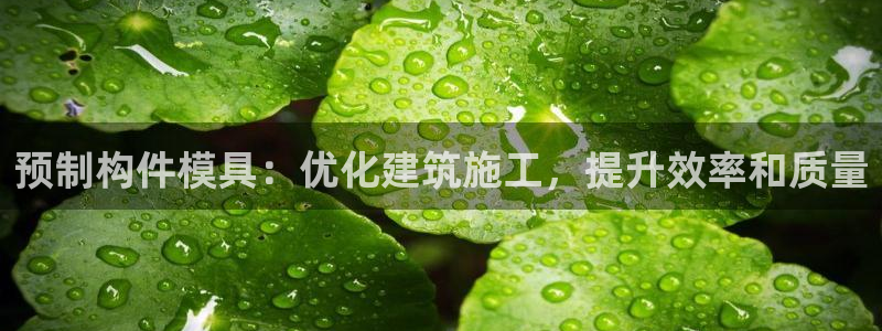 太阳集团是一家什么公司：预制构件模具：优化建筑施工，提升效率和质量