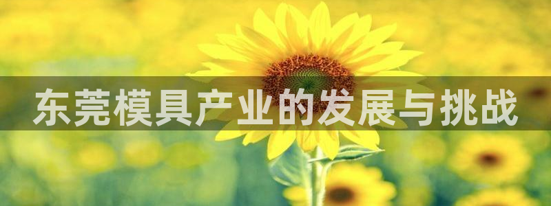 太阳集团网站5017：东莞模具产业的发展与挑战