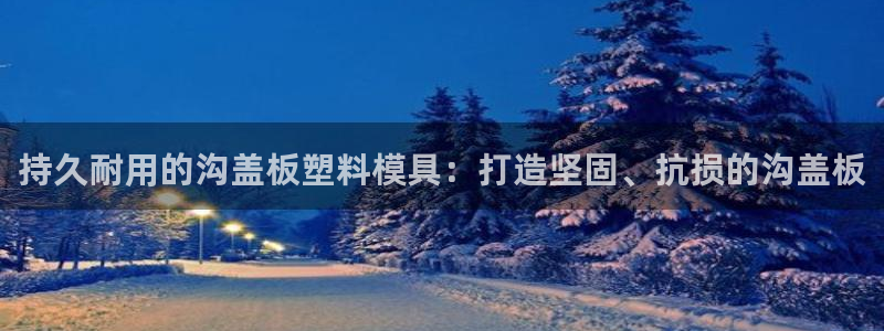 太阳集团tcy8099：持久耐用的沟盖板塑料模具：打造坚固、抗损的沟盖板