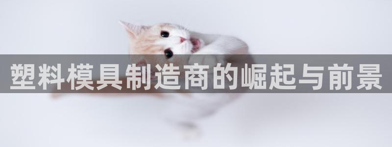 澳门太阳集团与古天乐：塑料模具制造商的崛起与前景