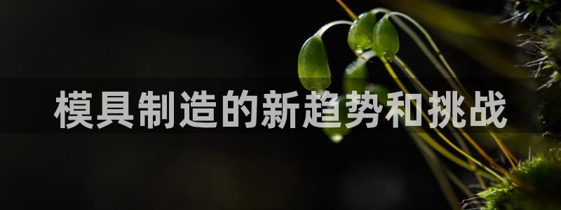 太阳贵宾城：模具制造的新趋势和挑战