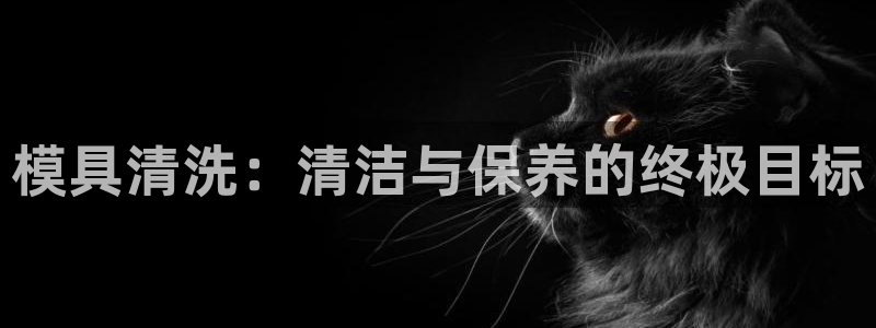 太阳集团城网站：模具清洗：清洁与保养的终极目标