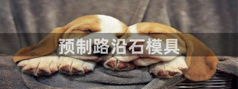 太阳集团在线：预制路沿石模具
