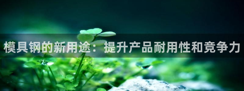 太阳集团城网官方入口：模具钢的新用途：提升产品耐用性和竞争力