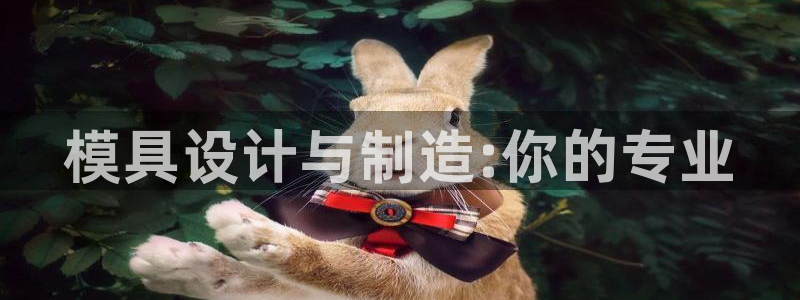 太阳集团网站入口官网：模具设计与制造:你的专业