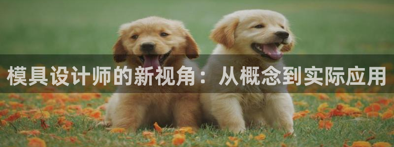 太阳成集团网址 app：模具设计师的新视角：从概念到实际应用