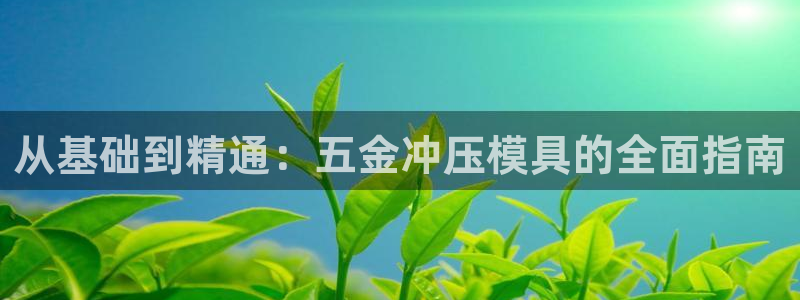 太阳集团是什么：从基础到精通：五金冲压模具的全面指南