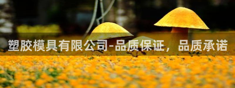 太阳app官方：塑胶模具有限公司-品质保证，品质承诺