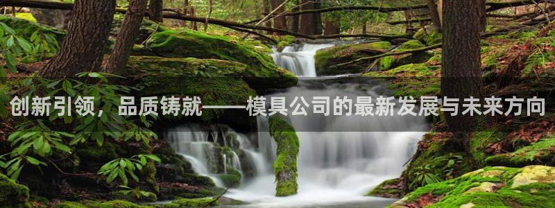 太阳集团洗米华菲律宾：创新引领，品质铸就——模具公司的最新发展与未来方向