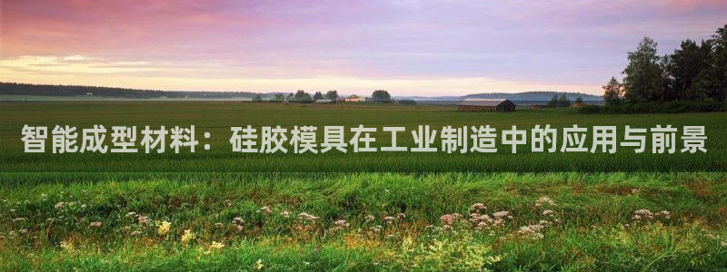 太阳gg注册地址：智能成型材料：硅胶模具在工业制造中的应用与前景