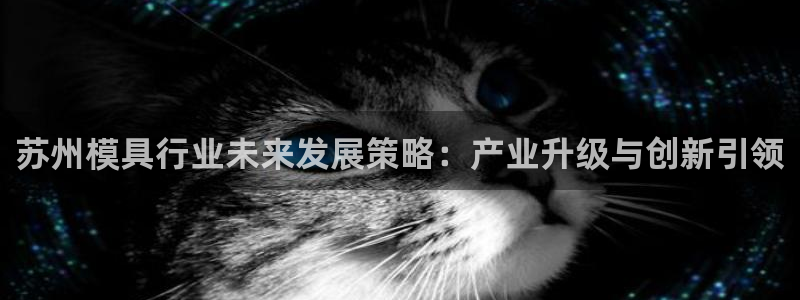 太阳gg娱选_2o5o26：苏州模具行业未来发展策略：产业升级与创新引领