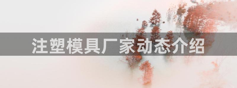太阳诚集团有限公司是国企吗还是私企：注塑模具厂家动态介绍