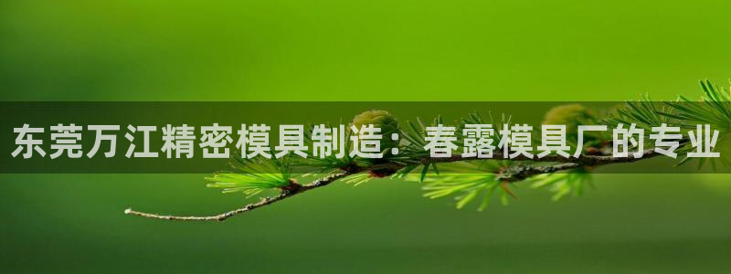 澳门太阳集团与古天乐：东莞万江精密模具制造：春露模具厂的专业