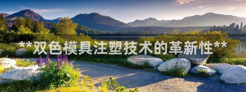 太阳成集团tyc234cc：**双色模具注塑技术的革新性**