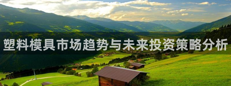 太阳诚集团有限公司：塑料模具市场趋势与未来投资策略分析