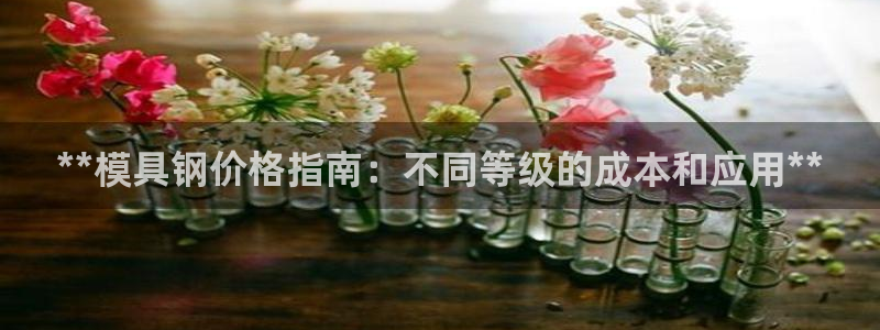 太阳成集团tyc9728：**模具钢价格指南：不同等级的成本和应用**
