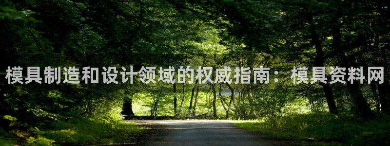 太阳2平台下载：模具制造和设计领域的权威指南：模具资料网