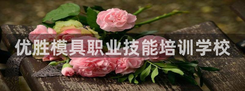 太阳集团电子游戏不朽的浪漫视频：优胜模具职业技能培训学校