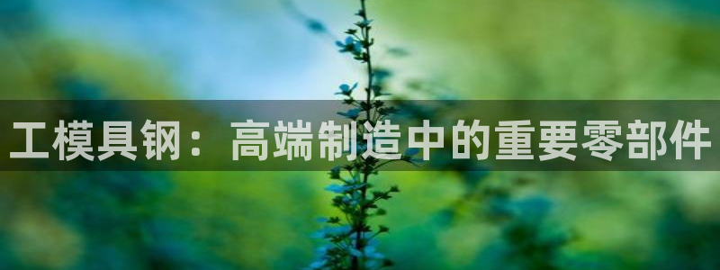 太阳成集团洗米华：工模具钢：高端制造中的重要零部件
