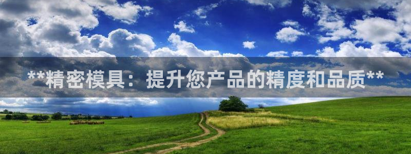 冷たい太阳：**精密模具：提升您产品的精度和品质**