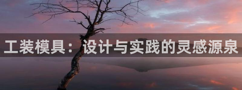 太阳游戏成语：工装模具：设计与实践的灵感源泉