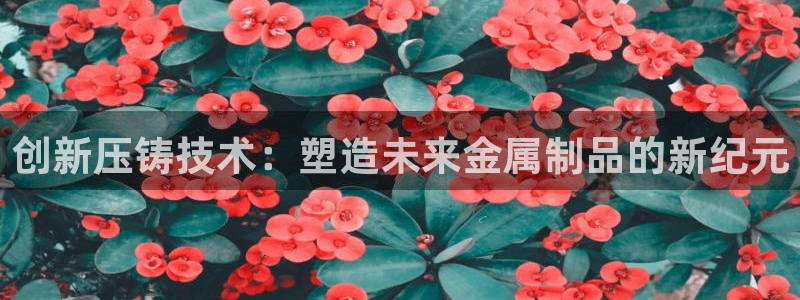 太阳成集团tyc33455cc：创新压铸技术：塑造未来金属制品的新纪元