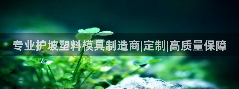 太阳成集团app：专业护坡塑料模具制造商|定制|高质量保障