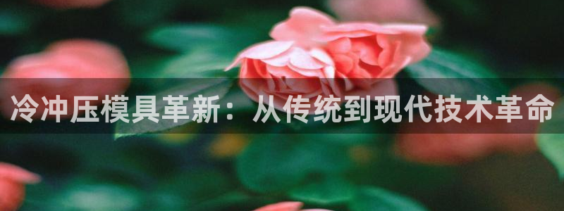 太阳集团城娱：冷冲压模具革新：从传统到现代技术革命