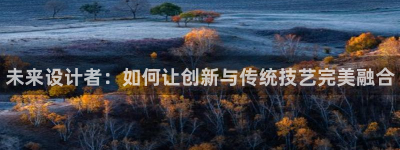 太阳董事长：未来设计者：如何让创新与传统技艺完美融合